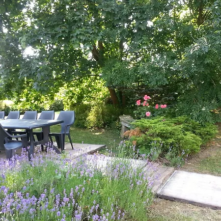 Spacious With Private Garden *
